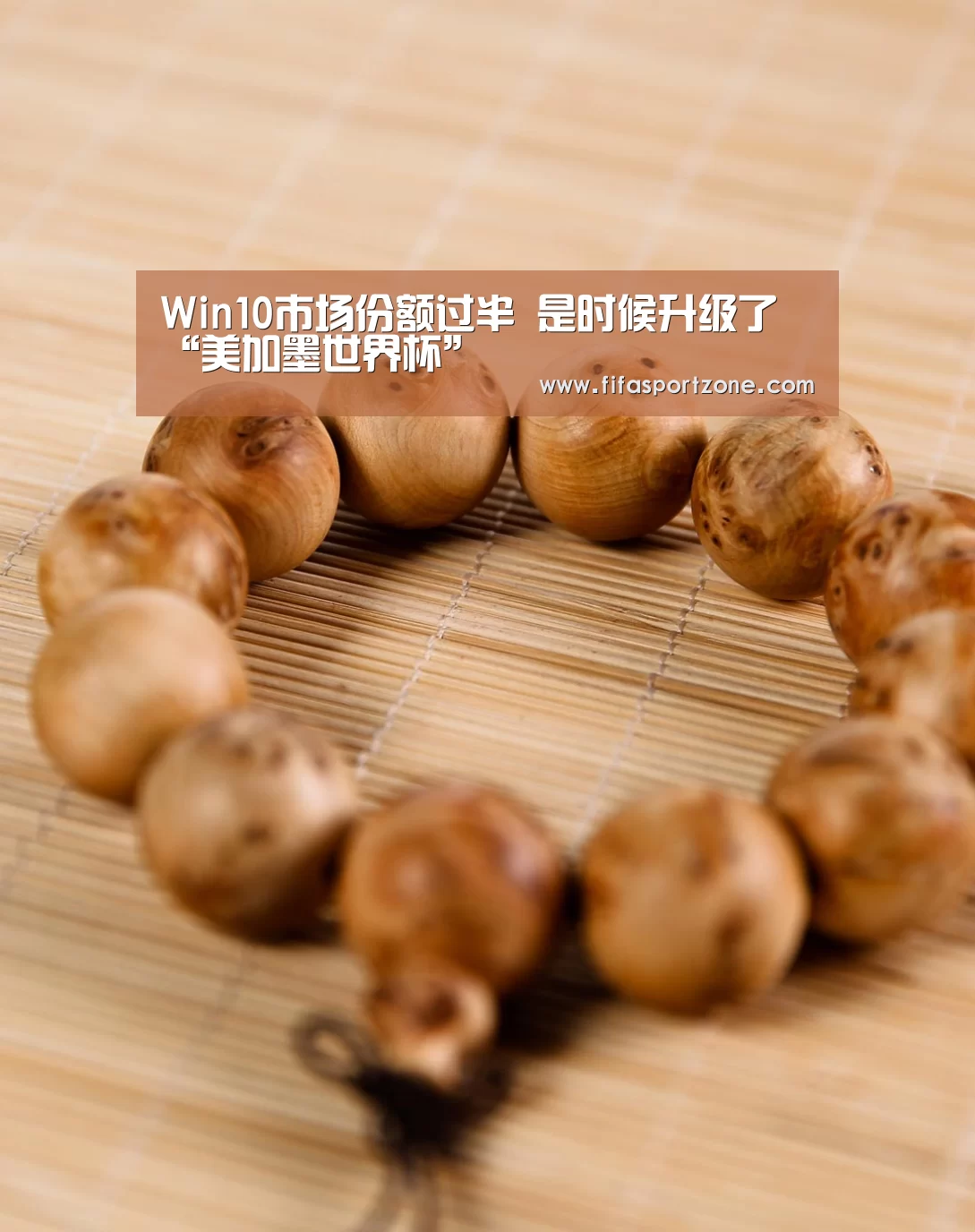 美加墨世界杯