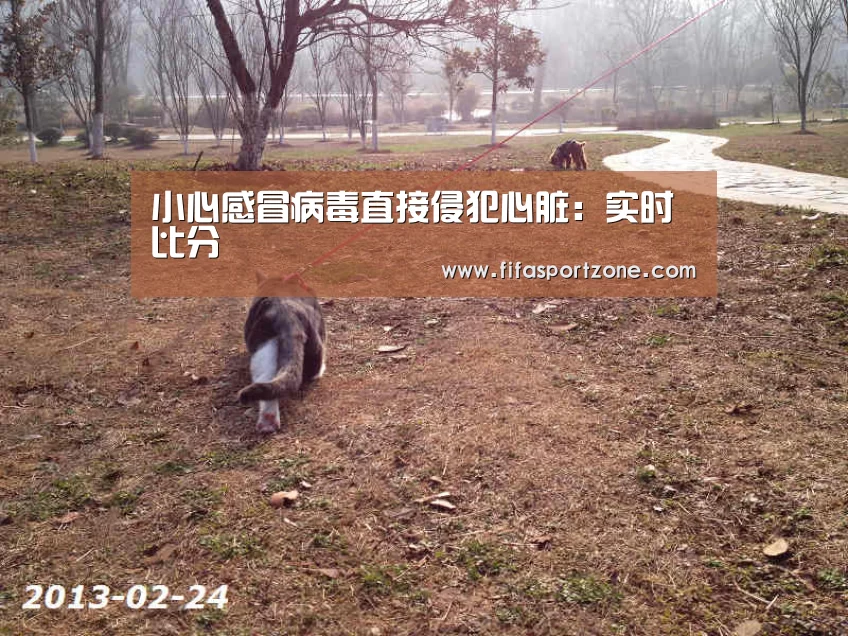 小心感冒病毒直接侵犯心脏:实时比分(图3) 国际足联世界杯
