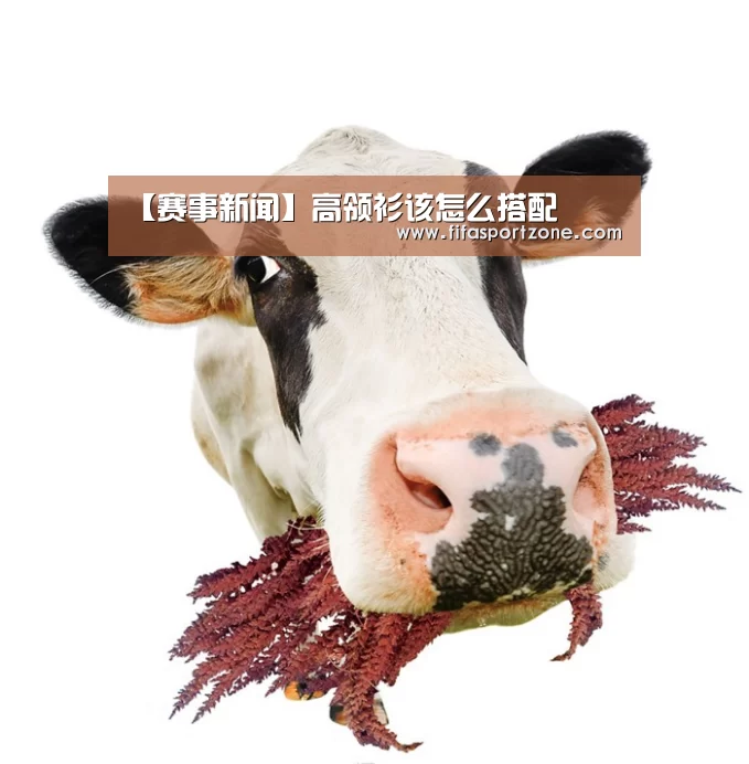 【赛事新闻】高领衫该怎么搭配(图1) 美加墨世界杯