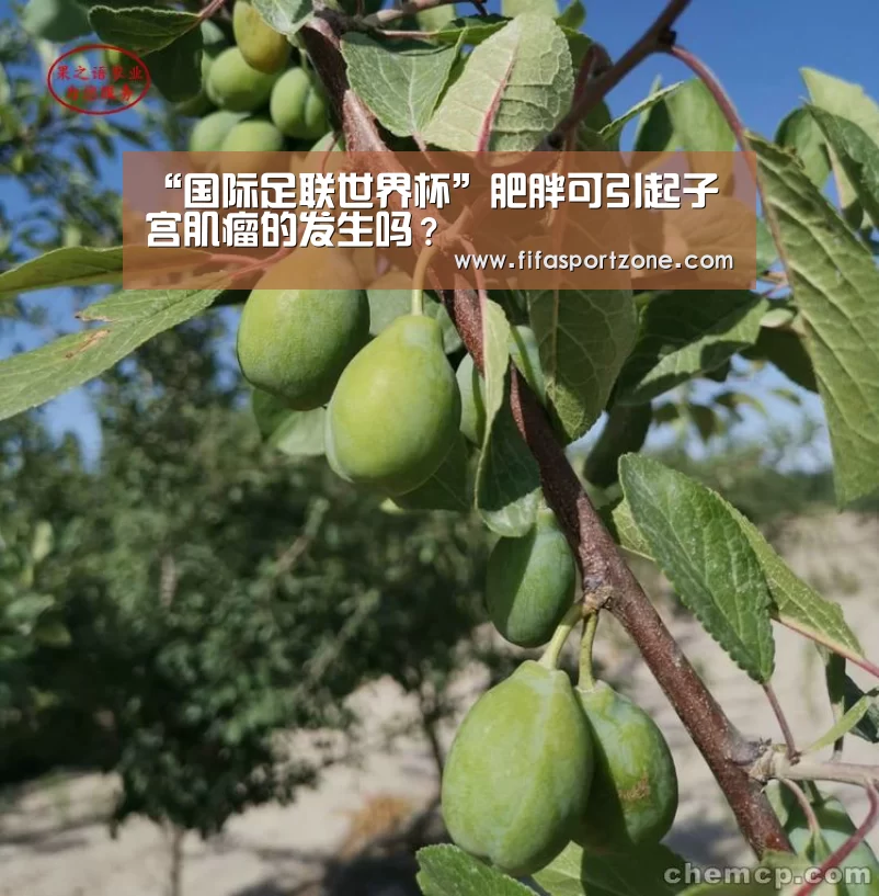 “国际足联世界杯”肥胖可引起子宫肌瘤的发生吗?(图3) 国际足联世界杯